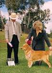 sherwood golden retrievers 