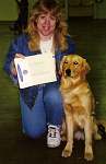 sherwood golden retrievers 