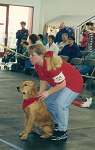 sherwood golden retrievers 