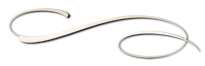 curved divider image for sherwood golden retrievers and russell terriers footer